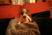 Enlarge photo 42