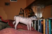 Enlarge photo 51