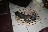 Enlarge photo 54