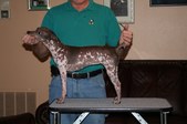 Enlarge photo 16