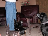 Enlarge photo 79
