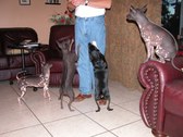 Enlarge photo 82