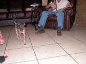 Enlarge photo 87
