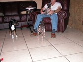 Enlarge photo 88