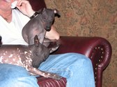 Enlarge photo 94