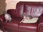 Enlarge photo 96