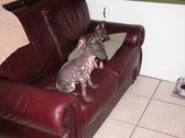 Enlarge photo 98