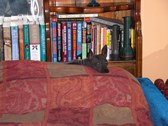 Enlarge photo 57