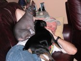 Enlarge photo 107