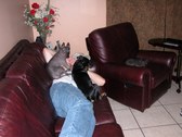 Enlarge photo 108