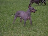 Enlarge photo 52