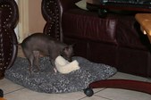 Enlarge photo 63