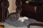 Enlarge photo 66
