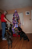 Enlarge photo 12