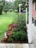 Enlarge photo 29