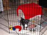 Enlarge photo 4