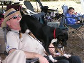 Enlarge photo 10