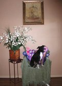 Enlarge photo 20