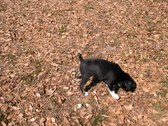 Enlarge photo 30