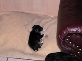 Enlarge photo 49