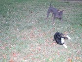 Enlarge photo 71