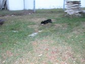 Enlarge photo 72