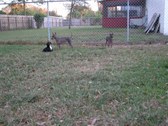 Enlarge photo 73