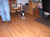 Enlarge photo 84