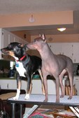 Enlarge photo 110