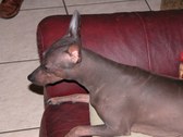 Enlarge photo 7