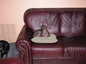 Enlarge photo 5