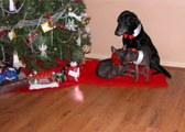 Enlarge photo 22