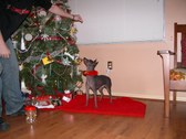 Enlarge photo 23