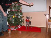 Enlarge photo 24