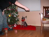 Enlarge photo 25