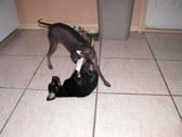Enlarge photo 38