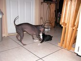 Enlarge photo 44