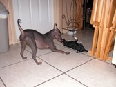 Enlarge photo 45
