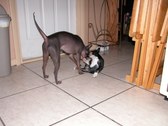 Enlarge photo 46