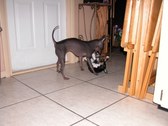 Enlarge photo 47