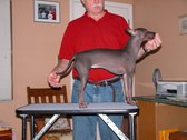 Enlarge photo 49