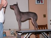 Enlarge photo 54