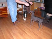 Enlarge photo 56