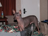 Enlarge photo 58