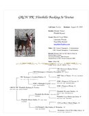 Enlarge Microsoft Word Document 114