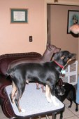 Enlarge photo 105
