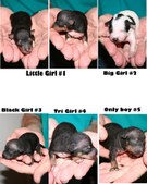 Enlarge photo 11