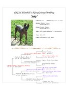 Enlarge Microsoft Word Document 132