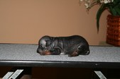 Enlarge photo 26