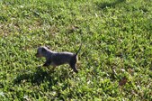 Enlarge photo 99